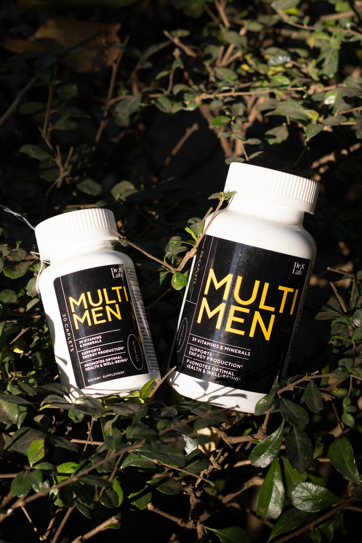 True Multi Men Multi Men (90 Caplets) – Dr.K Lab