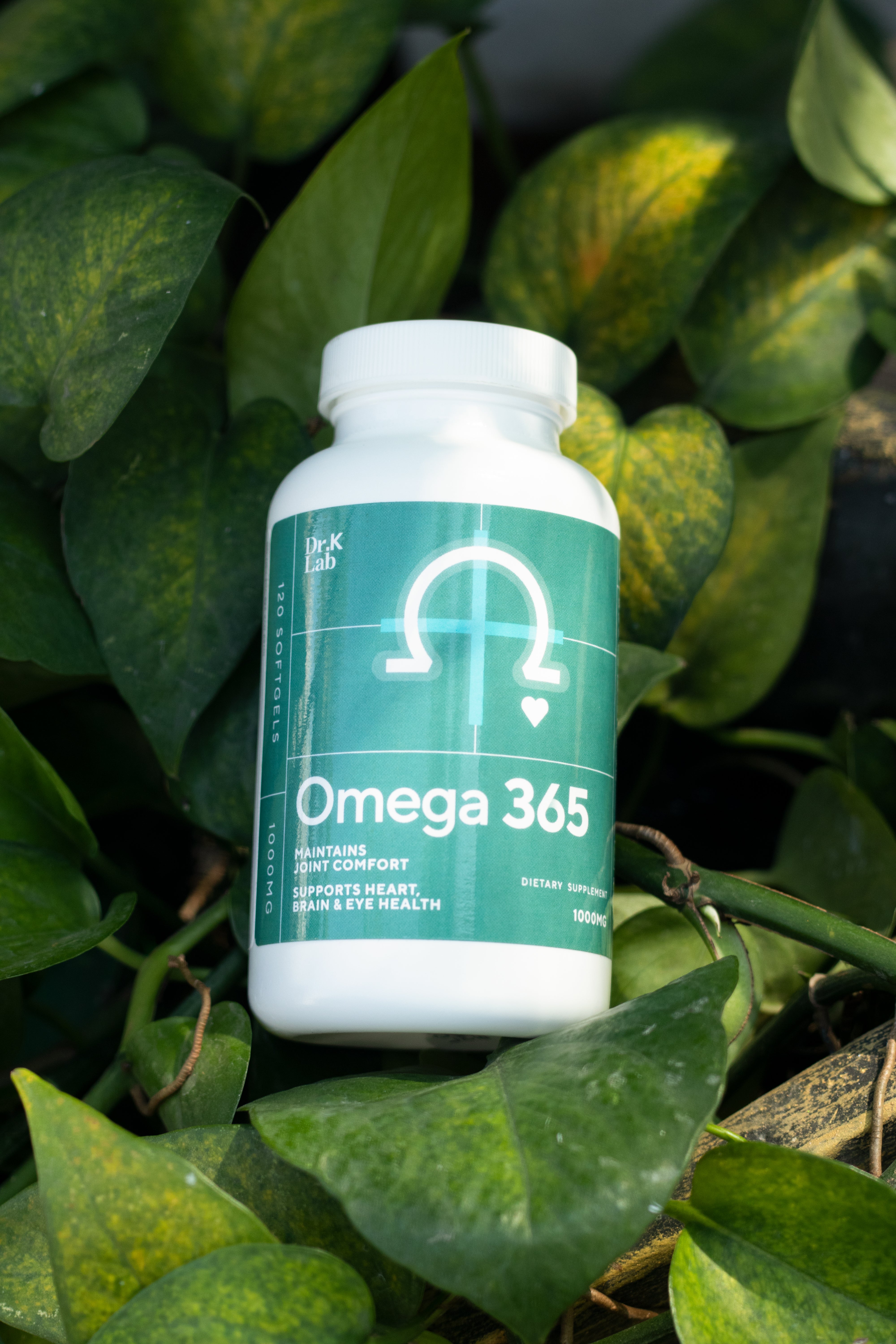 Omega 365 Fish Oil 1000 mg 120's | Heart, Brain & Eye Health