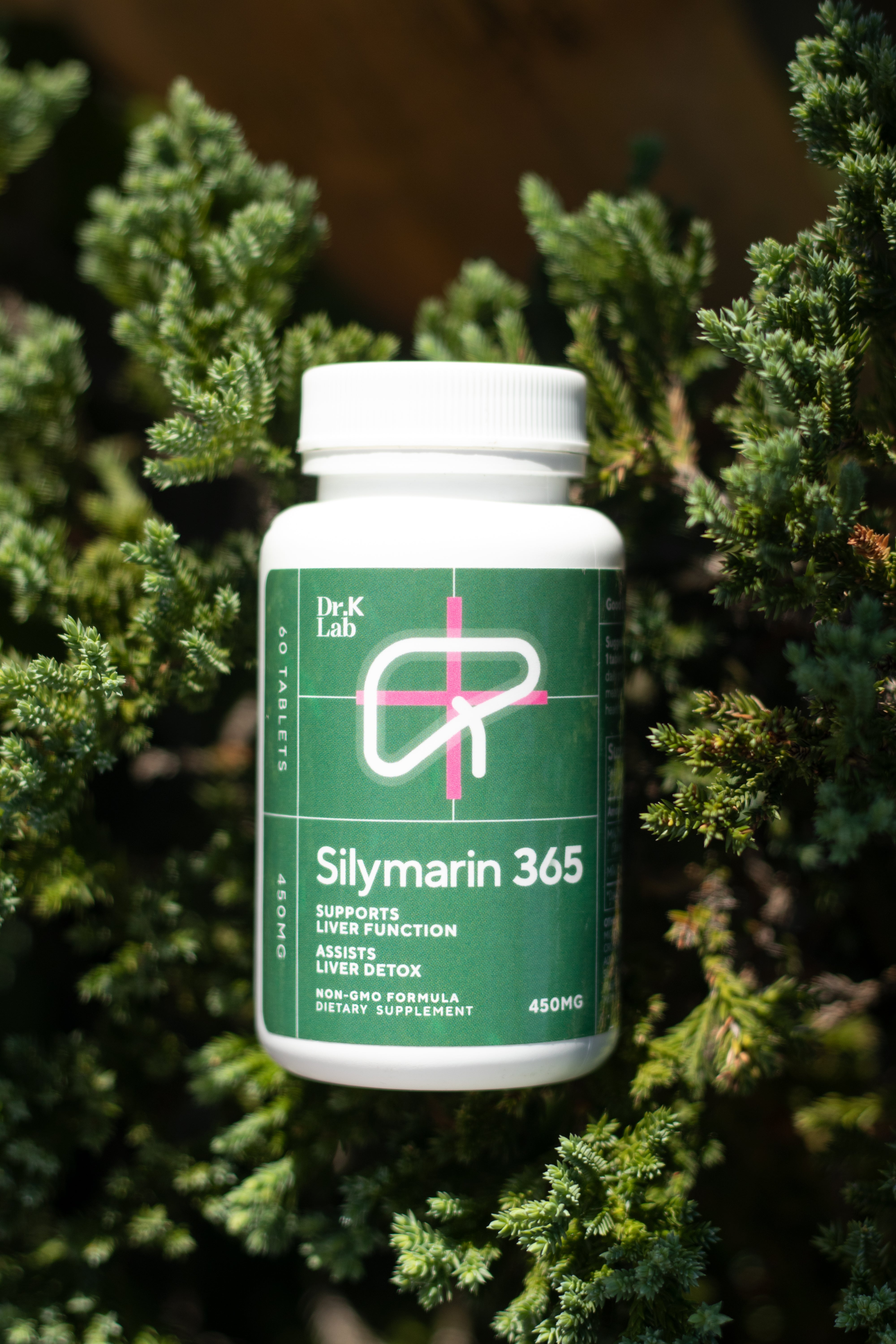 Silymarin 365 Milk Thistle Extract 450 mg 60's | Essential for Liver Health