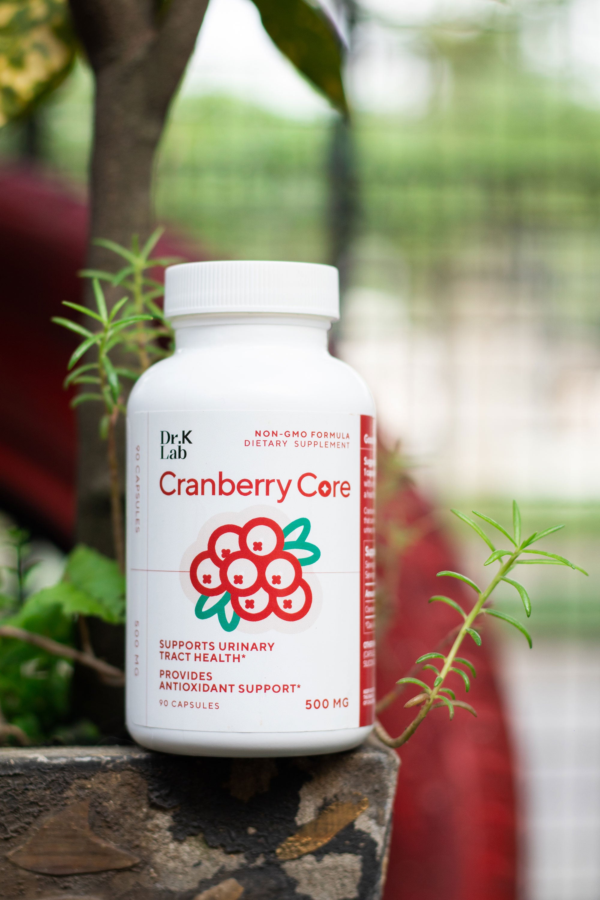 Cranberry Core 500 mg 90's | Urinary Health & Antioxidant Support